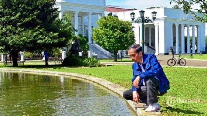 presiden-jokowi-istana-bogor